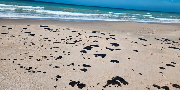 Hidrocarburo en playas es por yacimientos naturales: Saldívar.