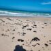 Hidrocarburo en playas es por yacimientos naturales: Saldívar.