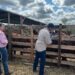 Trabaja Desarrollo Rural en conjunto con ejidatarios y productores