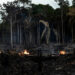 Aumentan los incendios en el corazón de la amazonia Brasileña