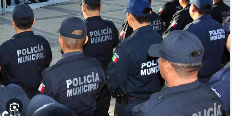 Descuidan municipios la prevención del delito