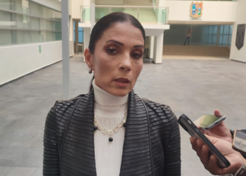 «No debo nada», dice diputada panista castigada