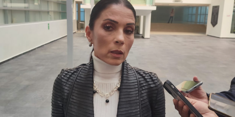 «No debo nada», dice diputada panista castigada