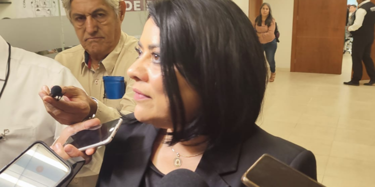 «No hay que acelerarnos», dice presidenta del Congreso