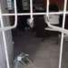 Ladrones saquean otra escuela