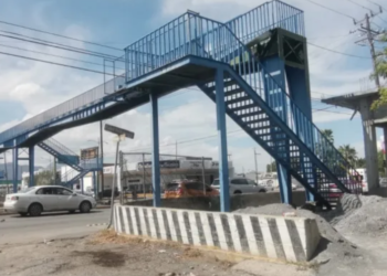 Pide diputado a gobiernos más puentes peatonales para reducir muertes por atropellamiento