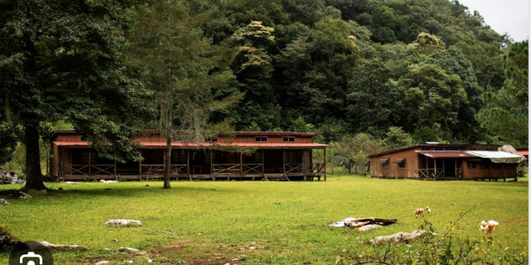 Castigarían con más severidad delitos ambientales en Tamaulipas