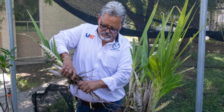 Promueve UAT el cultivo y conservación de orquídeas