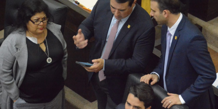 Avala PAN que ciudadanos tengan un arma en sus casas
