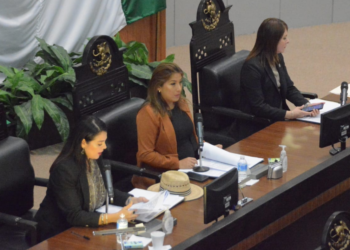 Diputada clama paz para San Fernando