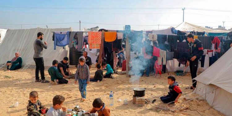 Casi la mitad de la población de la Gaza, hacinadas en Rafah