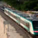 Turistificación y desplazamiento de comunidades: costos del Tren Maya