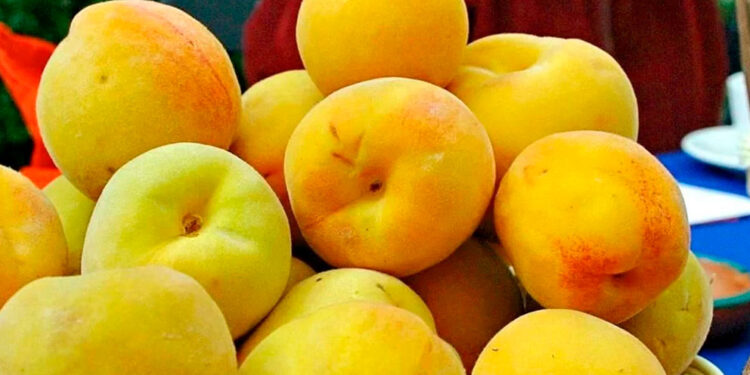 Ahora alerta México por fruta de Estados Unidos contaminada