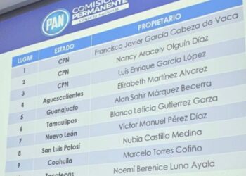 Cabeza de Vaca será diputado federal