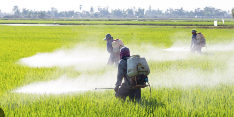 Prohibir uso de glifosato sería un suicidio para la agricultura, advierten.