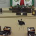 Desbandada de diputados ; se van otros 6.