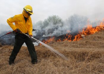 Amenazan incendios forestales a 8 municipios tamaulipecos.