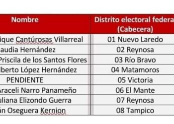 Destapan Morena y PVEM sus “gallos” para las diputaciones