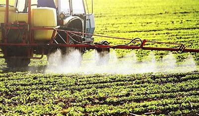 Autoriza gobierno de México siga uso de glifosato en control de malezas en agricultura
