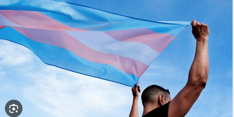 Exige CNDH Ley de protección a personas trans
