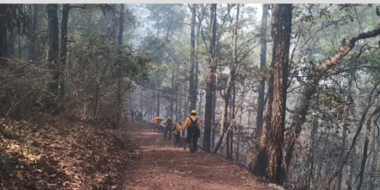Sigue «vivo» incendio en Hidalgo; suman esfuerzos para frenarlo.