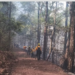 Sigue «vivo» incendio en Hidalgo; suman esfuerzos para frenarlo.