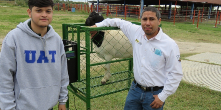 Estudiante de la UAT desarrolla innovador sistema de monitoreo de alimentación de borregos