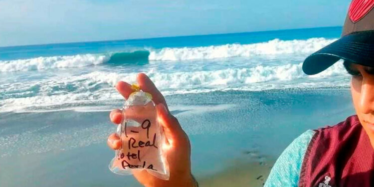 Alerta sanitaria: Seis playas mexicanas no son aptas para uso recreativo