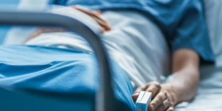 Muere paciente por rabia en Cancún tras 19 años sin casos en México