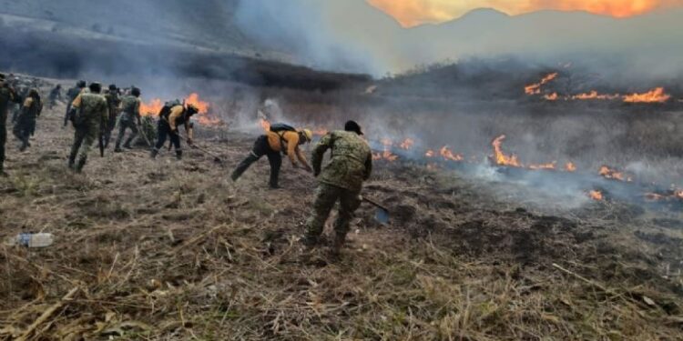 Sigue la lucha contra los incendios en Veracruz: Múltiples frentes activos en diversos municipios