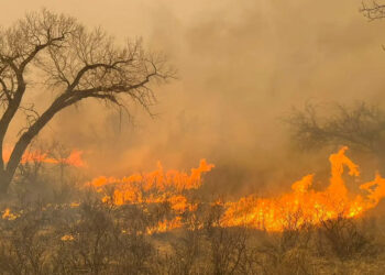 Peor incendio en la historia de Texas podría agravarse por viento y temperaturas