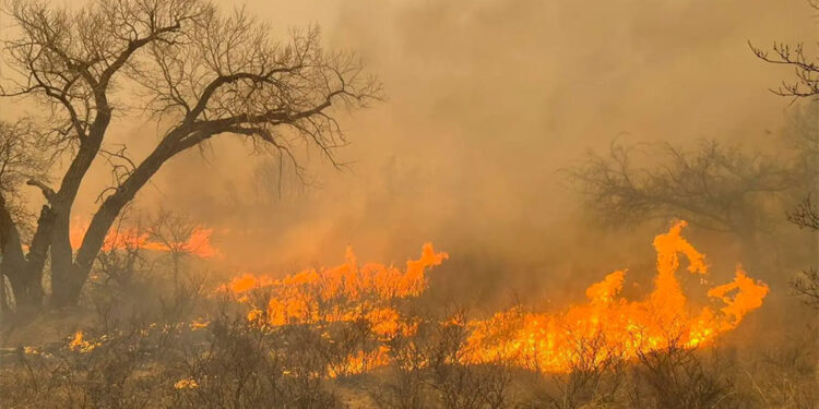 Peor incendio en la historia de Texas podría agravarse por viento y temperaturas