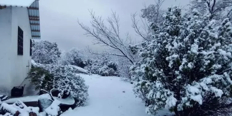 Otra vez se pinta de blanco la Sierra de Chihuahua en plena primavera