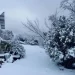 Otra vez se pinta de blanco la Sierra de Chihuahua en plena primavera