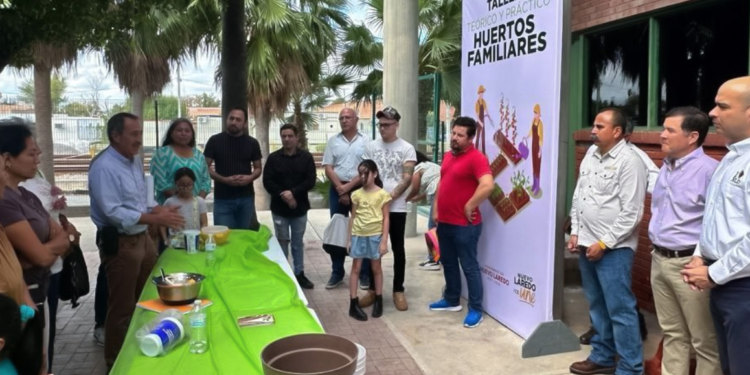Enseñarán a familias a crear huertos familiares.