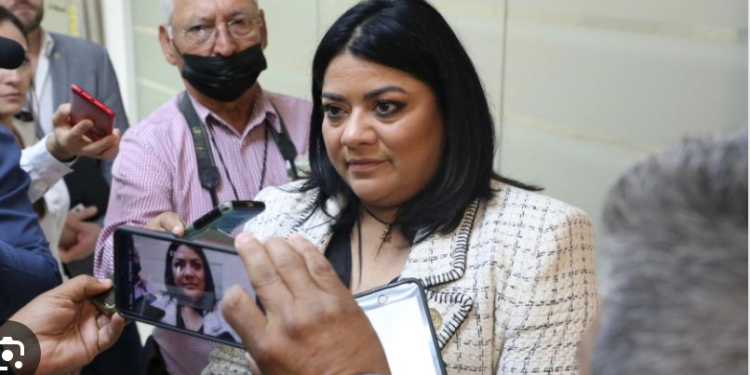 Habrá nuevo Auditor Superior antes de terminar la legislatura: Úrsula Salazar.