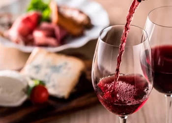 ¿Cómo contratar un servicio de catering para eventos benéficos?
