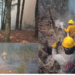 Piden ayuda al gobierno federal para sofocar incendio en El Cañón del Novillo