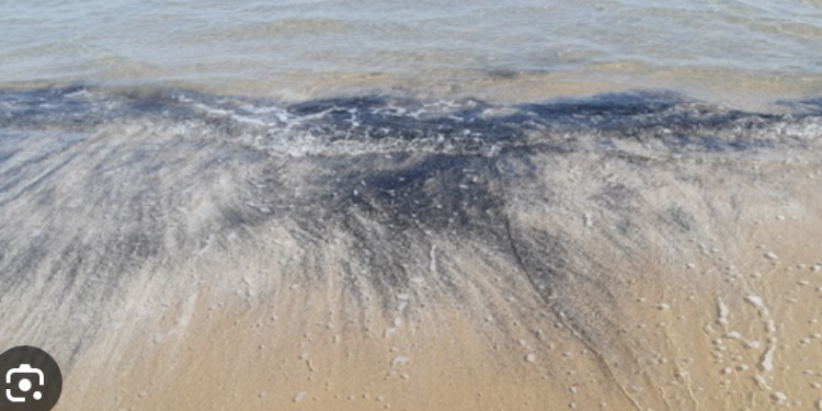 Investigan manchas de petróleo en playas Miramar y Tesoro