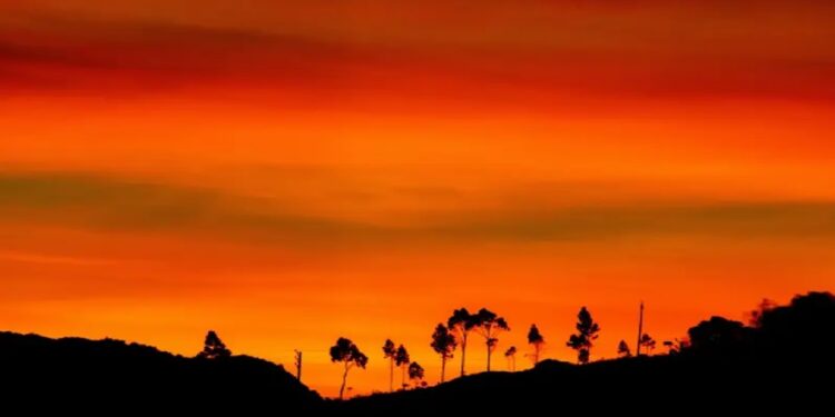 Ya van once meses seguidos con altas temperaturas en el mundo