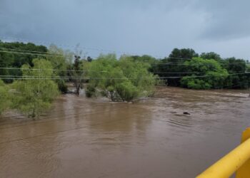 Lluvias torrenciales seguirán en Tamaulipas: Conagua