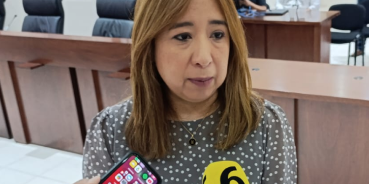 Votó el 56% de electores: Ietam