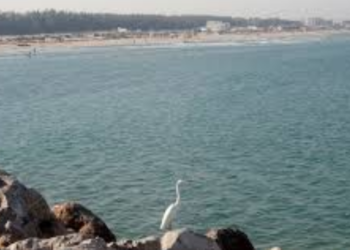 Usarían agua del mar para abastecer a municipios del sur