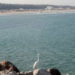 Usarían agua del mar para abastecer a municipios del sur