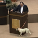 Diputados ya tienen su «Perrucha»