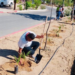 Urgen a alcaldes a reforestar sus municipios