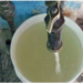 Alerta diputada sobre riesgos de agua turbia en tomas domiciliarias.
