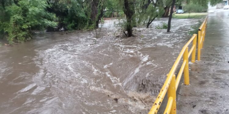 Lluvias son un gran alivio para Tamaulipas: Gobernador