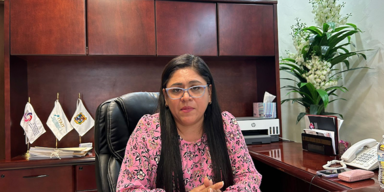 Presidenta del Itait niega corrupción; «es político», dice