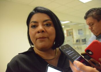 Alistan “armas” diputados electos de Morena